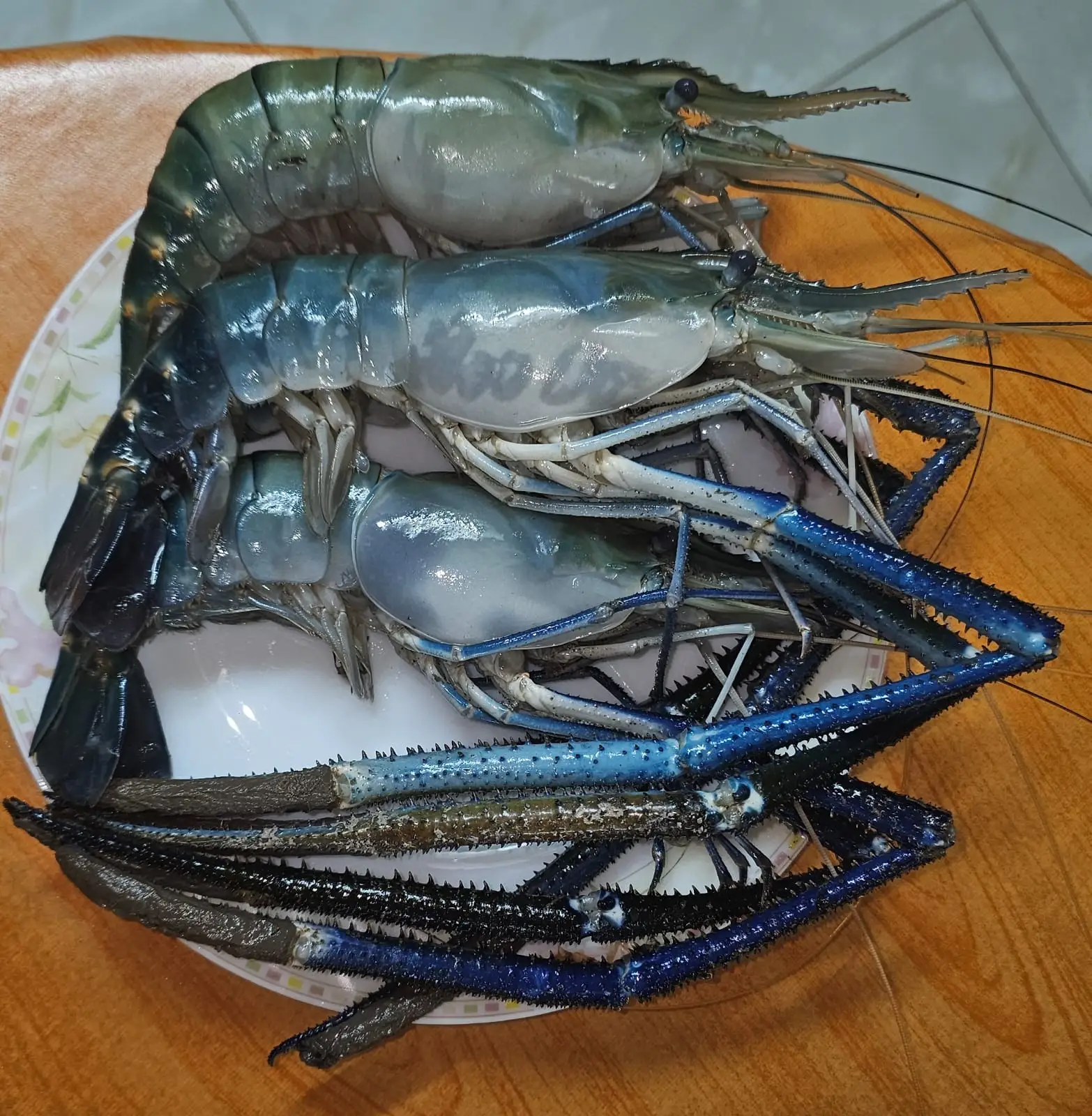 নদীর গলদা চিংড়ি